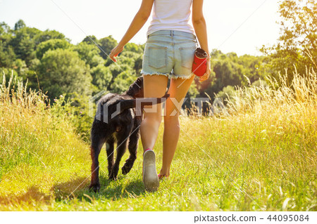 Young woman with her dog walking. 44095084