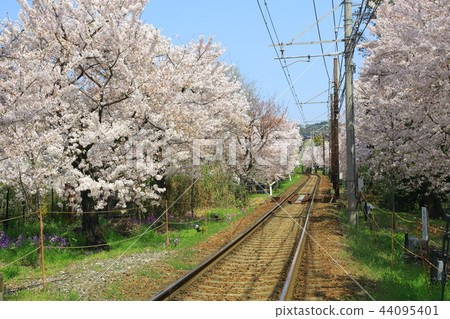 風暴電櫻桃隧道 風暴電櫻桃隧道 44095401
