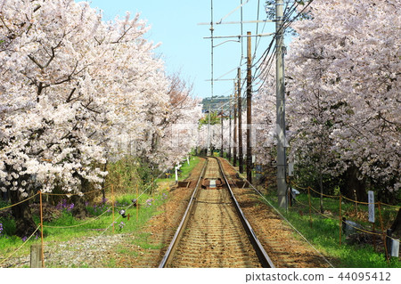 風暴電櫻桃隧道 44095412