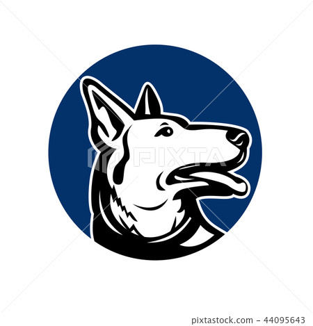 German Shepherd Dog Looking Up Mascot German Shepherd Dog Looking Up Mascot 44095643