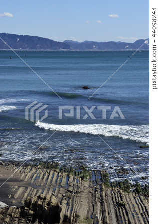 東京灣在冬天 44098243