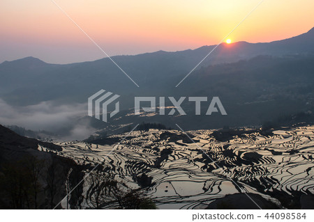 Genyang,Old Tiger,Tanada,Asahi Genyang,Old Tiger,Tanada,Asahi 44098584