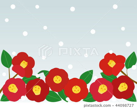 茶花4 44098727
