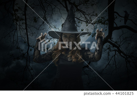 Scary halloween witch standing over dead tree Scary halloween witch standing over dead tree 44101825