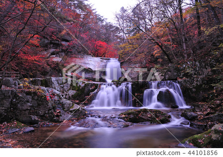 Bangtaesan Bangtaesan 44101856