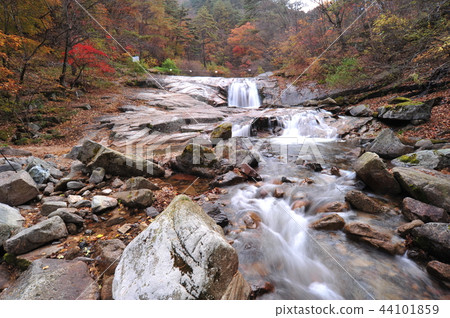 Bangtaesan Bangtaesan 44101859