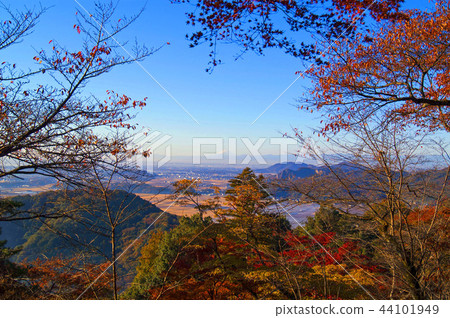 Fuji and autumn leaves Fuji and autumn leaves 44101949
