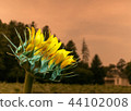 sunflower	 44102008