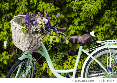 Bicycle with basket of flowers Limonium Bicycle with basket of flowers Limonium 44103097