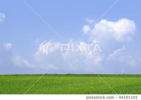 大麥領域，雲彩，天空，學院農場，Gochang-gun，Jeonbuk 44103105