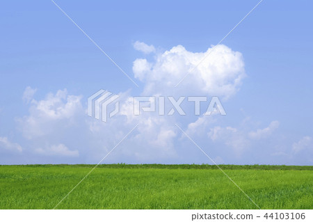 大麥領域，雲彩，天空，學院農場，Gochang-gun，Jeonbuk 44103106