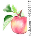 插圖蘋果 44104447