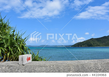 South seaside landscape South seaside landscape 44104968