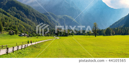 Alpine valley Logarska dolina, Slovenia 44105565