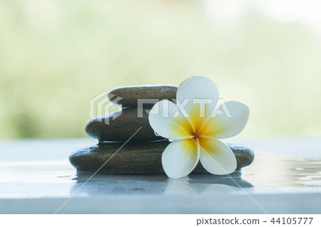 Spa flower and stones outdoors with sunlight Spa flower and stones outdoors with sunlight 44105777