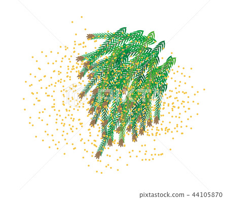 雪松花粉 44105870