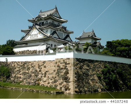 Kishiwada castle castle tower 44107248