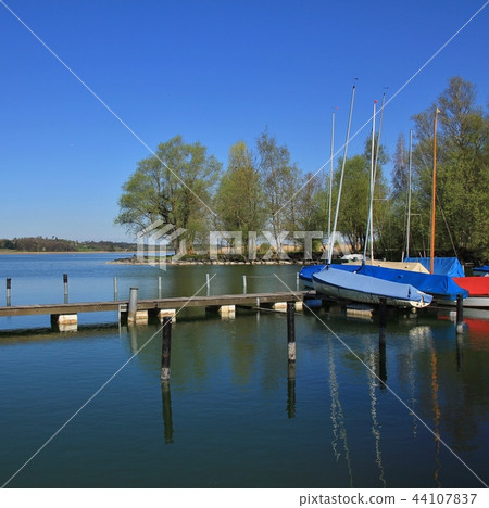 Trees and boats in Auslikon. 44107837