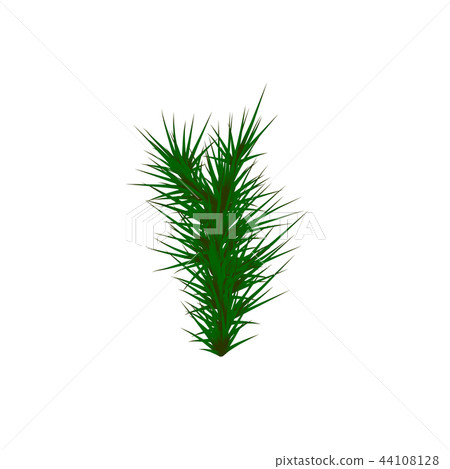 Set of Green grass. Green Grass White Background. Set of Green grass. Green Grass White Background. 44108128