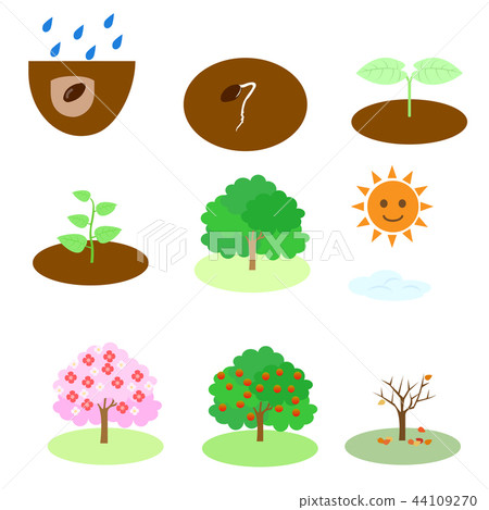 植物生長 插圖素材 圖庫