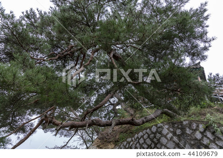 Kangseondae，Songho國家旅遊度假區，Geumgang，Yeongdong-gun，Chungbuk 44109679