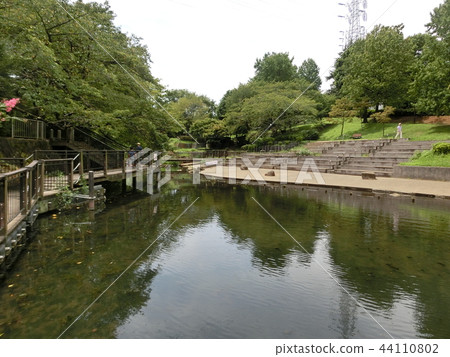 Kishine Park / Shobara Pond（橫濱市港北區） 44110802