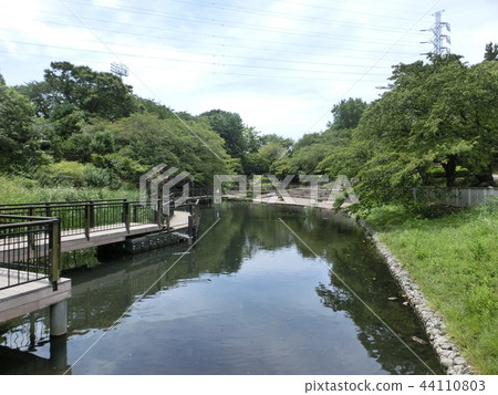 Kishine Park / Shobara Pond (Kohoku Ward, Yokohama City) Kishine Park / Shobara Pond (Kohoku Ward, Yokohama City) 44110803