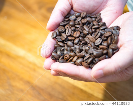 Coffee beans 44110923