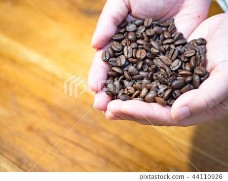 Coffee beans Coffee beans 44110926