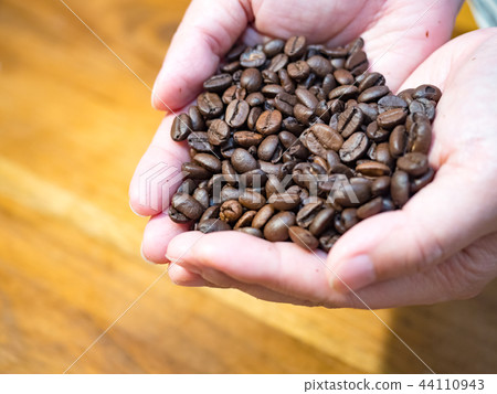 Coffee beans 44110943