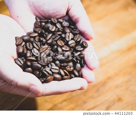 Coffee beans 44111203