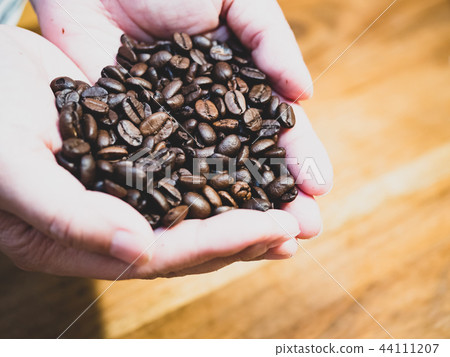 Coffee beans 44111207