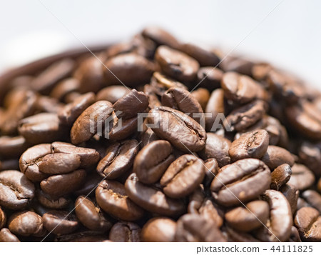 Coffee beans Coffee beans 44111825