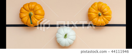 Fall background with small pumpkins 44111946