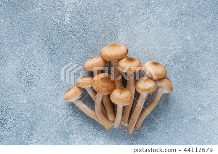 Mushrooms raw honeydew on a concrete table. Mushrooms raw honeydew on a concrete table. 44112679