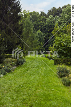 Summer landscape with green lawn, path to forest Summer landscape with green lawn, path to forest 44112883