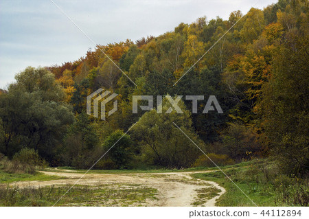 Autumn forest with leafy trees and footpath Autumn forest with leafy trees and footpath 44112894