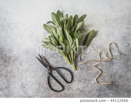 A bunch of fresh sage on a gray background 44112898