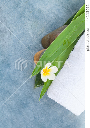 Tropical Flower and spa objects with stones  44113911