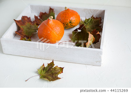 Fresh orange pumpkins on white wooden tray Fresh orange pumpkins on white wooden tray 44115269