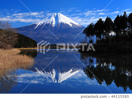 Upside-down Fuji-7018 of Lake Tanuki 44115593
