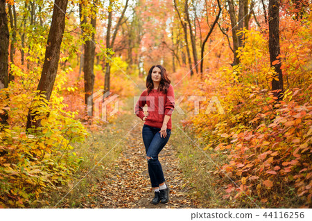 young beautiful woman autumn park young beautiful woman autumn park 44116256