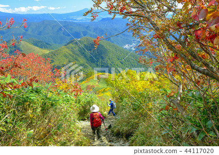 Tanigawa Takeshi Yamato 44117020