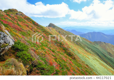 秋葉的Okino和Tomano耳朵 44117021