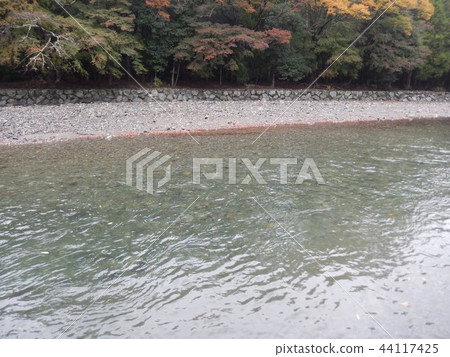 Isuzu River from Ise Shrine 44117425