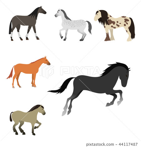Horse pony stallion isolated different breeds color farm equestrian animal characters vector 44117487