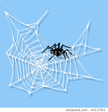 Spider web silhouette arachnid fear graphic flat scary animal design nature insect danger horror 44117953