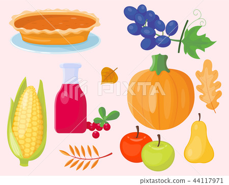 Colorful cartoon icons for thanksgiving day pumpkin holiday vector autumn design leaf season 44117971