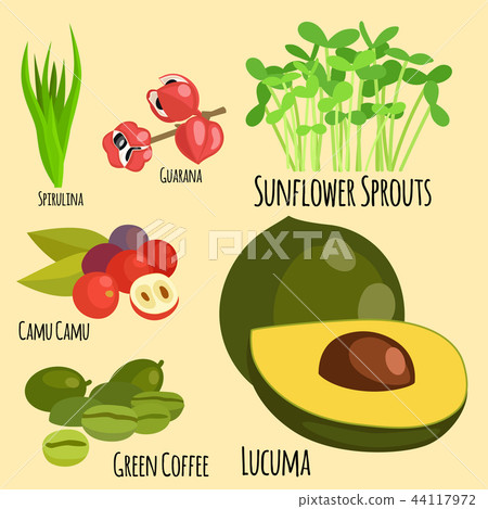 Vegetarian superfood healthy vegetable eco food fresh organic traditional gourmet nutrition vector 44117972