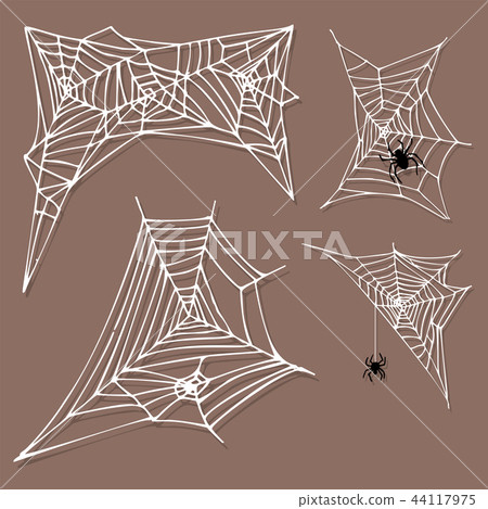 Spider web silhouette arachnid fear graphic flat scary animal design nature insect danger horror